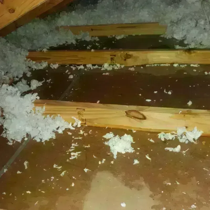 Attic Water Damage in Toppenish, WA